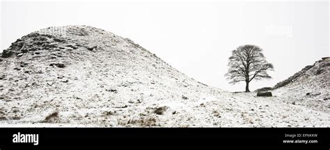 Hadrians wall sycamore gap winter hi-res stock photography and images ...