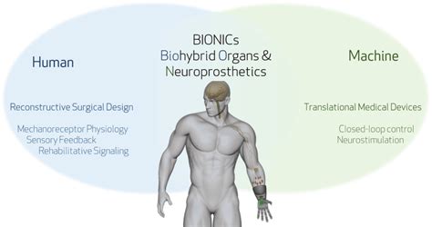 Harvard BIONICs Lab – Seamlessly integrating the human body with neural ...