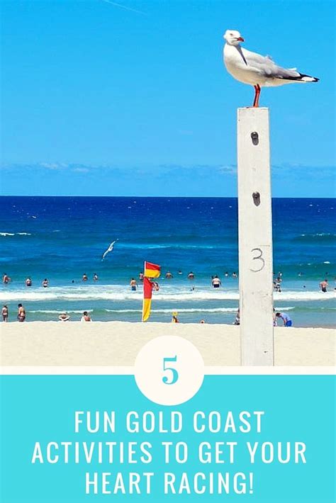 5 Fun Gold Coast Activities To Get Your Heart Racing. The hottest new ...