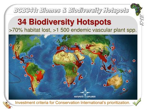 PPT - Biomes, eco-regions and biodiversity hotspots PowerPoint ...