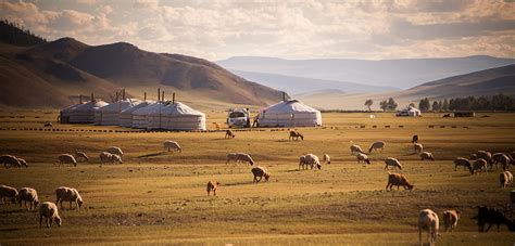 Unfolding 40 million years of Asian steppe history | CNRS News