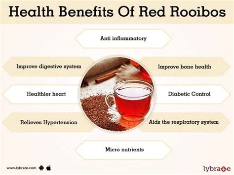 Benefits of Red Rooibos Tea And Its Side Effects | Lybrate