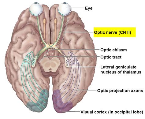 Optic Neuritis - Causes, Symptoms, Prognosis, Diagnosis & Treatment