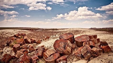 Petrified Forest · National Parks Conservation Association