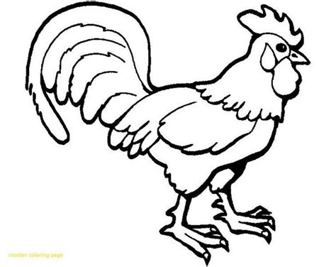 25+ Brilliant Photo of Rooster Coloring Page - albanysinsanity.com ...