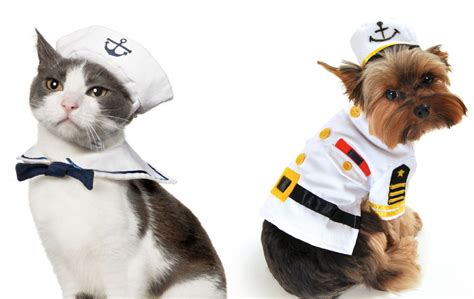 Ruff Draft: Adorable Pet Costumes for your Puppies & Kittens Halloween ...