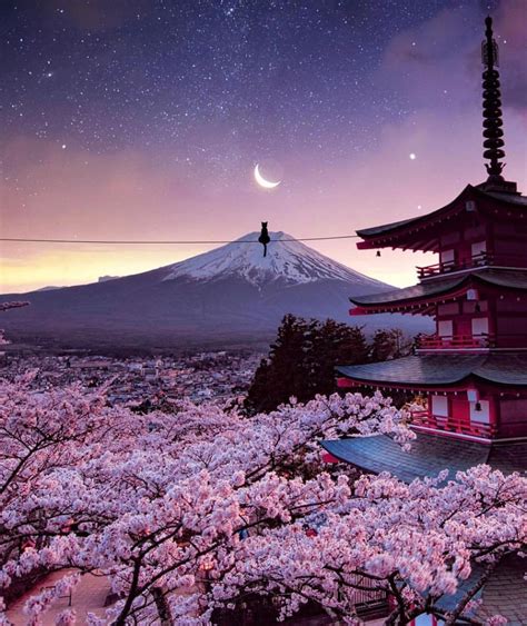 Autumn cherry blossom view of mount Fuji Japan : r/pics