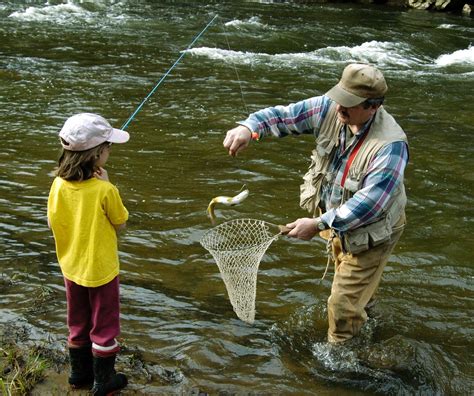 Volunteers Needed to Help Count Brown Trout Spawning Beds