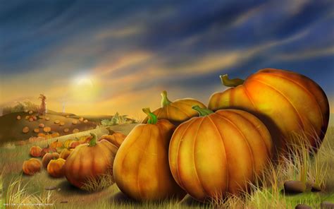 🔥 [40+] Thanksgiving Day Pumpkin Wallpapers | WallpaperSafari