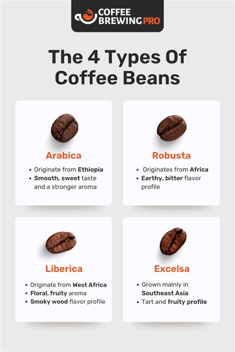 The 4 Different Types Of Coffee Beans Explained