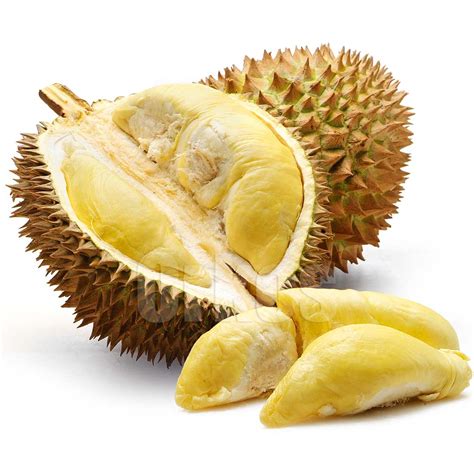 Warehousehealthy.blogspot.com: Durian Fruit Benefits For Our Bodies