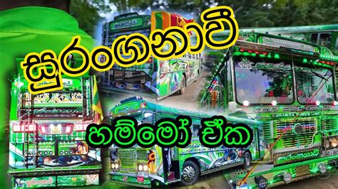 Suranganavi Bus New 2021 | Suranganavi New Modification - YouTube