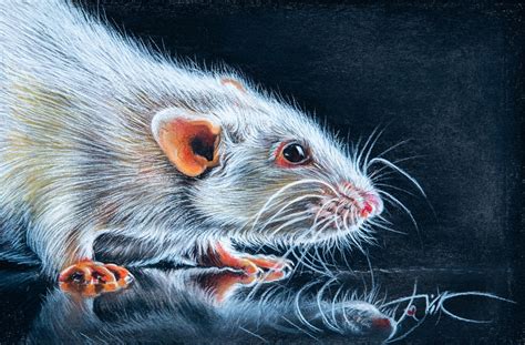 Mouse Painting Original Art Animals Painting Wall Art 8 X 10 by ...