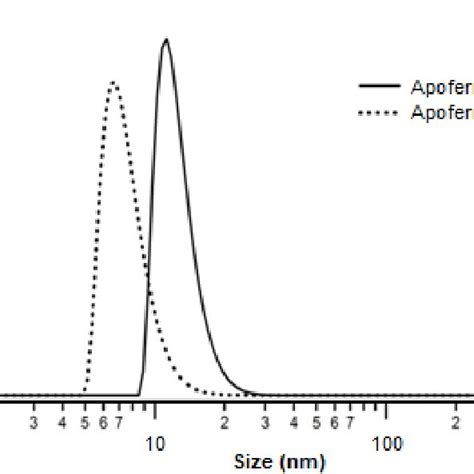 DLS data of the apoferritin size at pH 7 (solid line) and pH 1.9 (dot ...