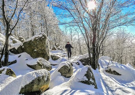 Photo # 4 -Rib Mountain State Park # 4 Winter wonderland trek through ...