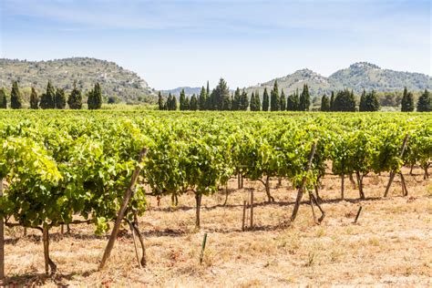 Ultimate Guide to the Provence Wine Region of France