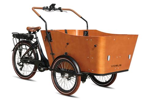 Brand Image Bike | Electric cargo bike, Cargo bike, Bike