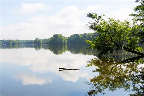 Wheeler Lake - Fish Alabama - Alabama Bass Trail