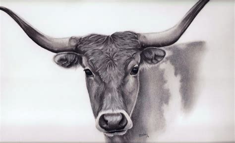 Portrait Drawing of a Longhorn. Hand Drawn Portraits From Your ...