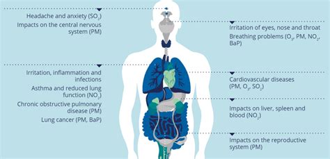 Health impacts of air pollution