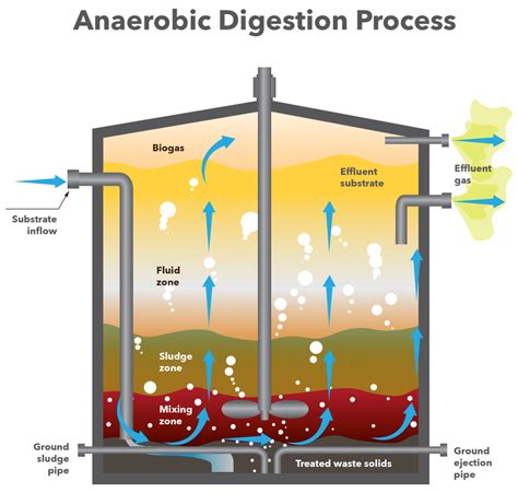 Six Reasons Anaerobic Digesters Aren't as Environmentally Friendly as ...