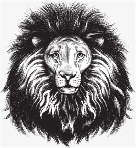 Painted Lion Head PNG, Clipart, Animal, Animal Head, Animals, Animals ...