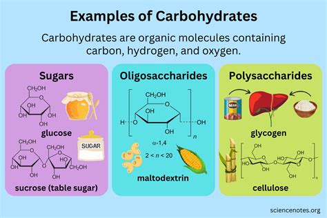 Simplest Form Of Carbohydrates