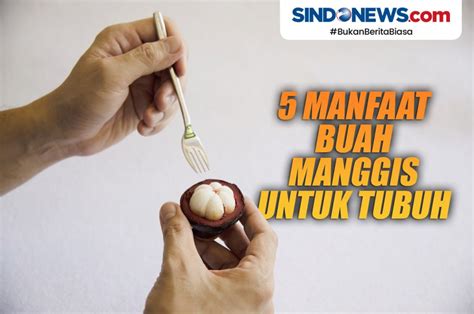 SINDOgrafis: Berikut ini 5 Manfaat Buah Manggis untuk Kesehatan Tubuh