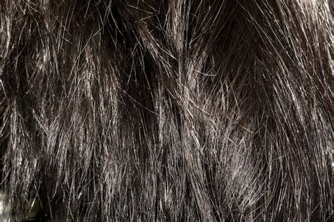 Premium Photo | Dark brown hair texture