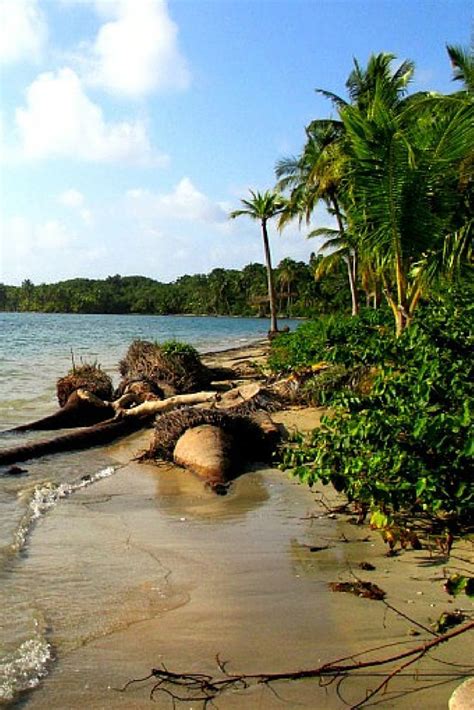 A Guide to the Beaches of Bocas del Toro: Isla Colon | Panama travel ...