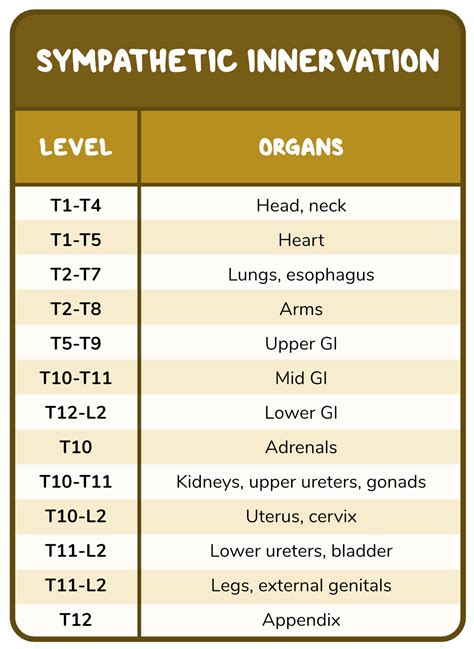 Viscerosomatics and facilitation | Osmosis