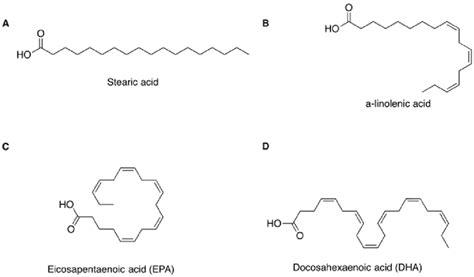 5: The structure of representative saturated and unsaturated fatty ...