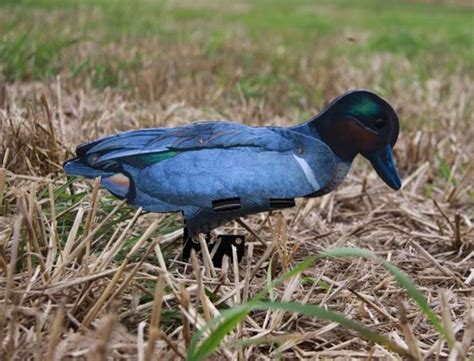 FUD Green Wing Teal Decoys 6 Pack - A1 Decoy