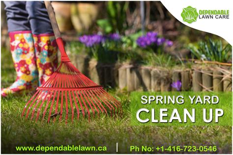 Get the Best Spring Yard Clean Up – Oakville | Spring cleaning yard ...