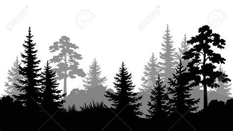 Seamless Horizontal Summer Forest with Pine, Fir Tree, Grass and Bush ...