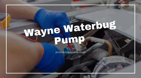 Wayne Waterbug Pump Review – New Edition - plumbingpoints