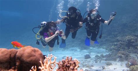 Scuba Diving In Hurghada | Falcon Tour