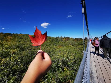 SCENIC CAVES & BLUE MOUNTAIN - Fall Colors Tour