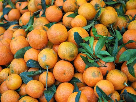 Oranges at the market 3476580 Stock Photo at Vecteezy