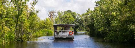 Jean Lafitte Swamp & Airboat Tours