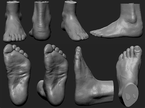 Foot study, Ren Manuel | Anatomy for artists, Foot study, Anatomy poses ...