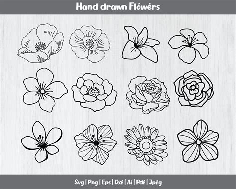 Hand Drawn Flowers Svg Bundle Roses Svg Flower Svg Cut - Etsy