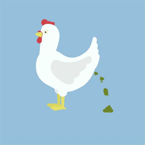 Chicken Diapers: Should You Really Use Them on Your Chickens? - Know ...