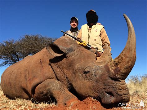 White Rhino Hunt South Africa | AfricaHunting.com