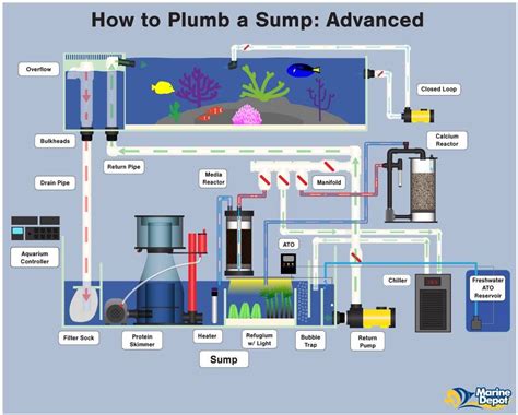 How to Plumb a Sump - Plumbing Diagrams For Your Aquarium Sump