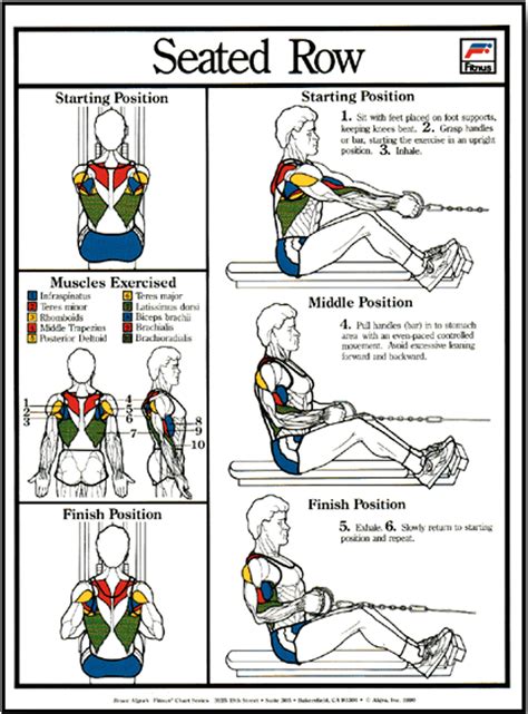 Seated Row Machine Muscles Worked | ubicaciondepersonas.cdmx.gob.mx