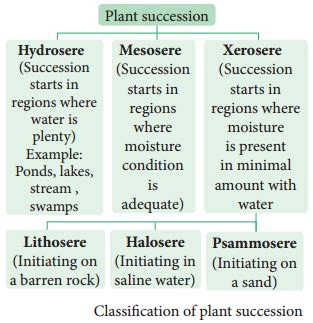 Ecological Plant Succession – Characteristics, Types and Examples