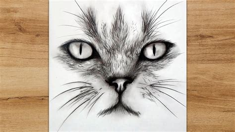 How to Draw a Cat Face for Beginners | Pencil Drawing Tutorial - YouTube