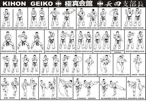 KYOKUSHIN KATAS PDF