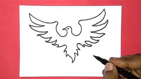 How to draw a Phoenix Bird Drawing for beginners - YouTube